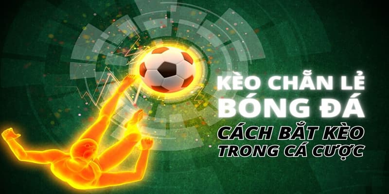 Kèo Chẵn Lẻ i9Bet - Hướng Dẫn Cách Đặt Cược Đúng Tỷ Lệ Odd/Even